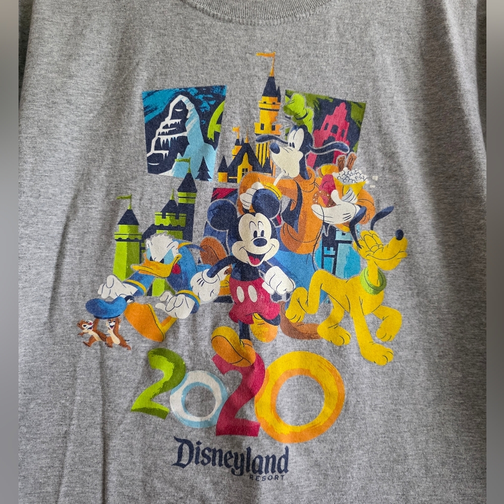 Disneyland 2020 Gray Tshirt Size XL